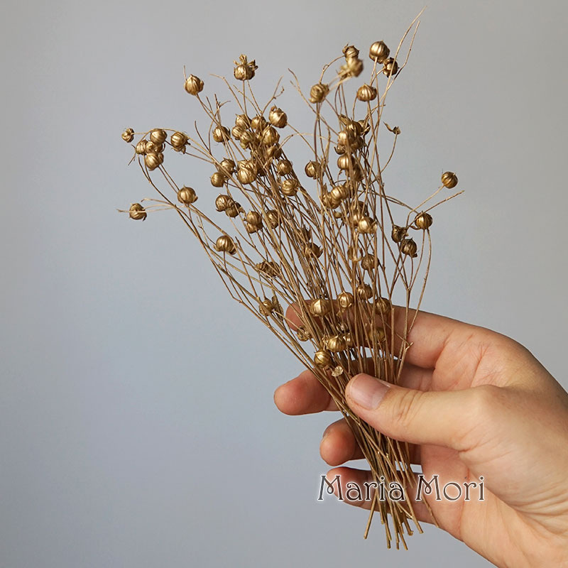 5g/geconserveerde vlasbonen na - Dried Flower Bulk recensie en prijs